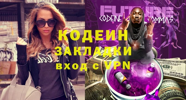 хмурый Вяземский