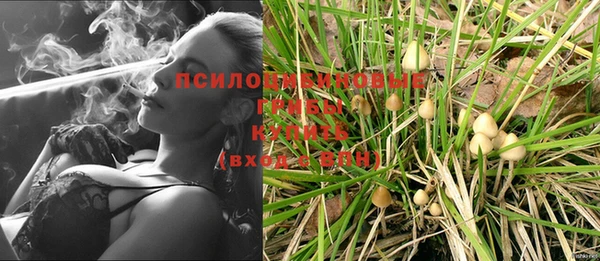 амф Вязьма