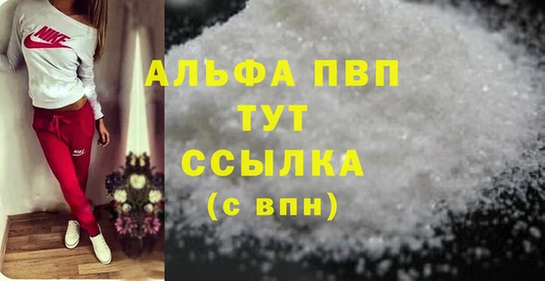 хмурый Вяземский