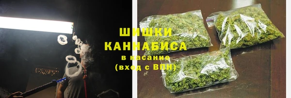 хмурый Вяземский
