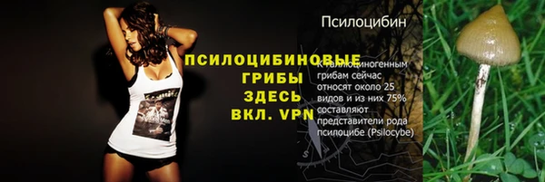 сатива Вязники