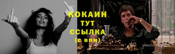 хмурый Вяземский