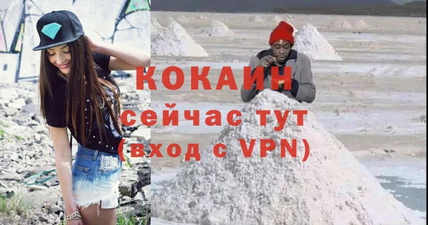 сатива Вязники