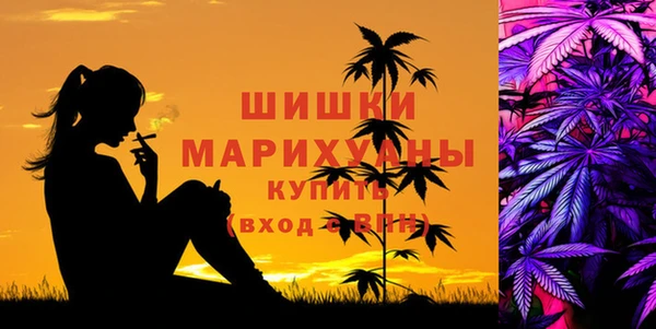 хмурый Вяземский