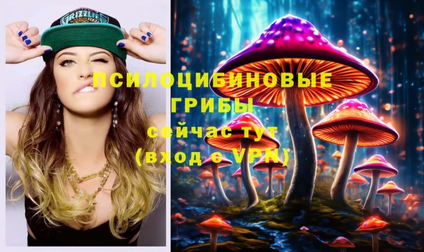 сатива Вязники