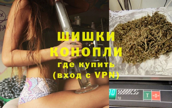 сатива Вязники