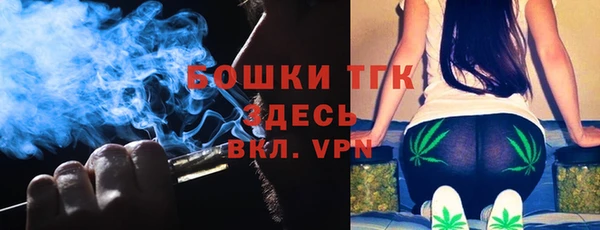 хмурый Вяземский